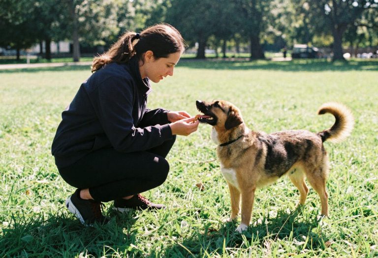 Positive Reinforcement Training: The Most Effective Way to Teach Your Pet Good Behavior